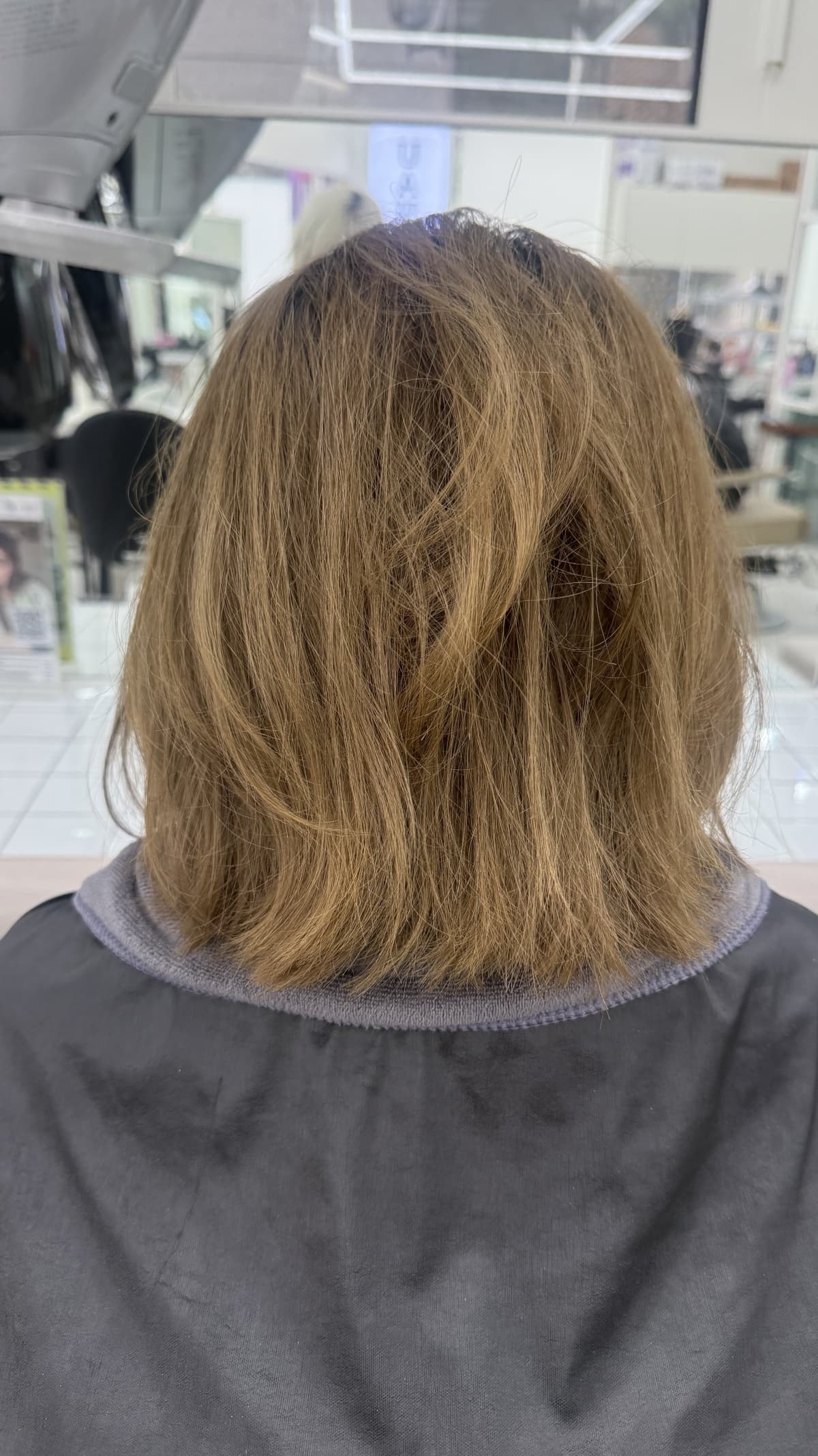 웜브라운 Before