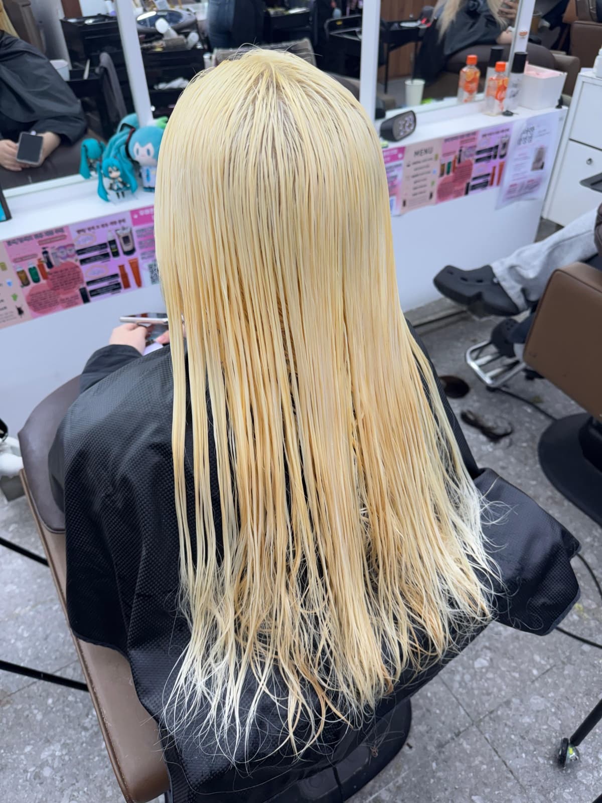 애쉬민트 Before