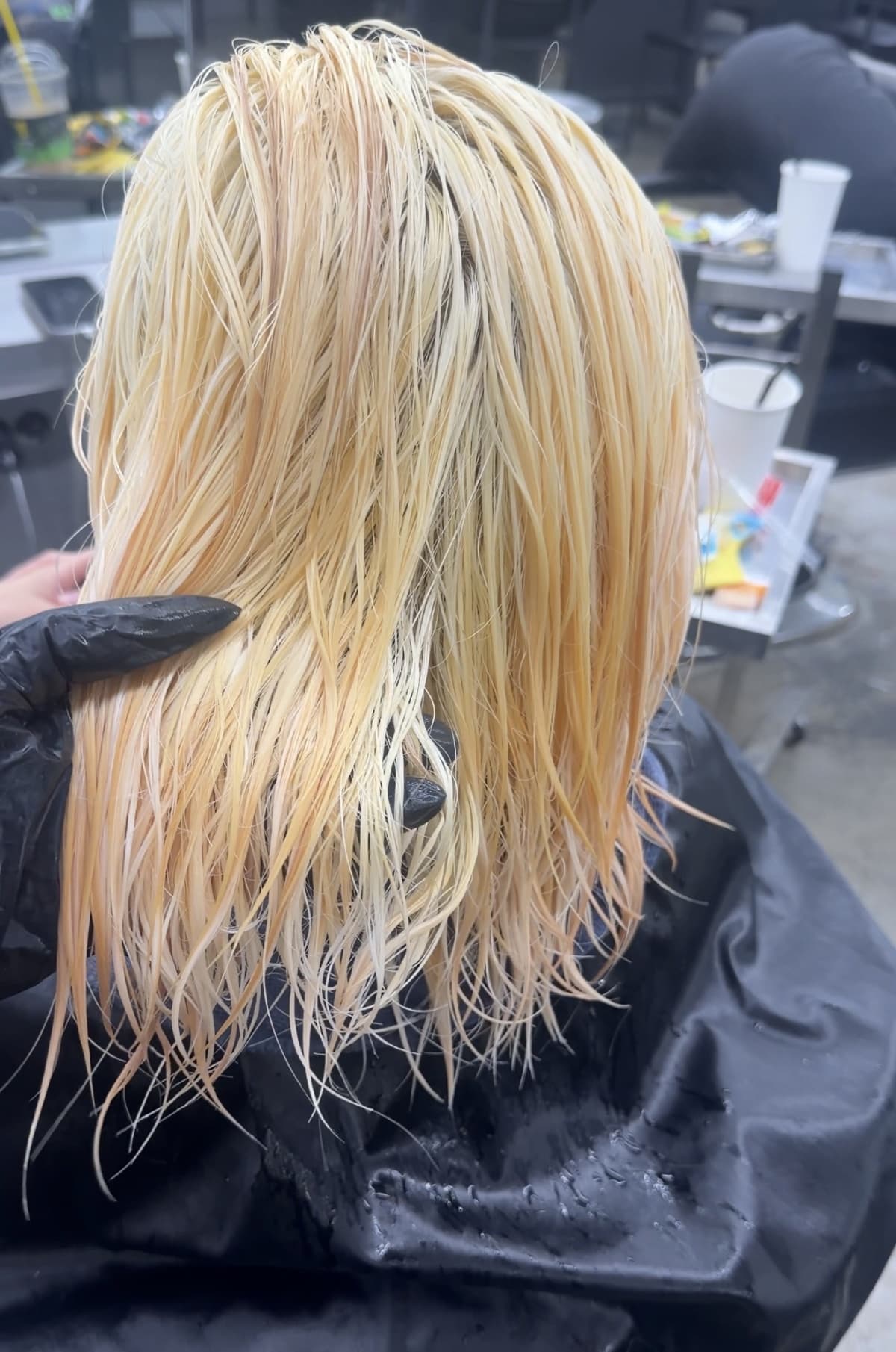 바이올렛 Before