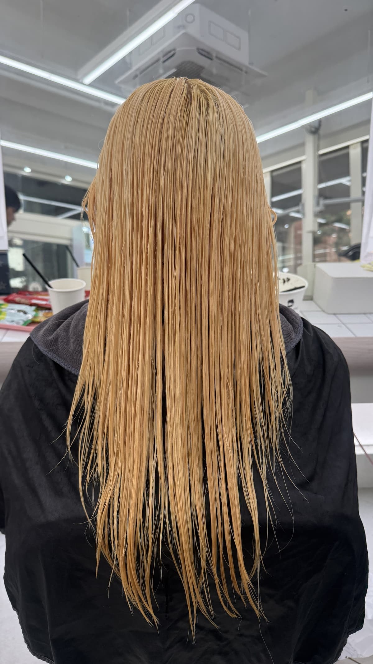 웜베이지 Before