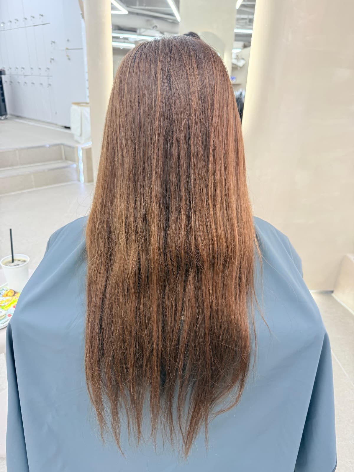 웜브라운 Before